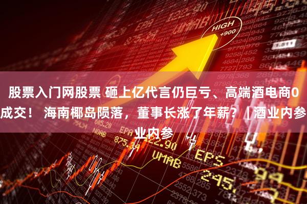 股票入门网股票 砸上亿代言仍巨亏、高端酒电商0成交! 海南椰岛陨落,董事长涨了年薪? | 酒业内参