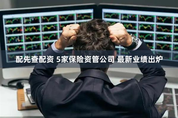 配先查配资 5家保险资管公司 最新业绩出炉