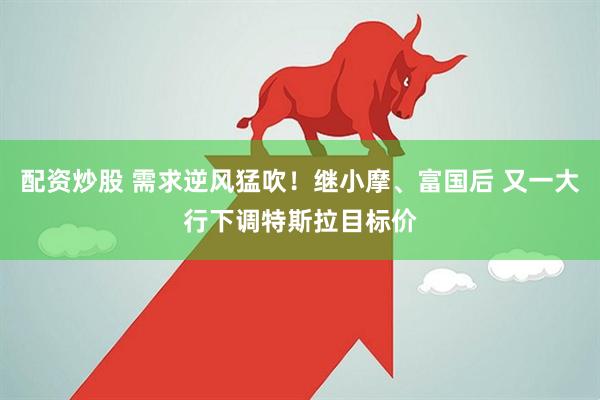 配资炒股 需求逆风猛吹！继小摩、富国后 又一大行下调特斯拉目标价