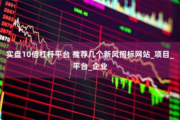 实盘10倍杠杆平台 推荐几个新风招标网站_项目_平台_企业